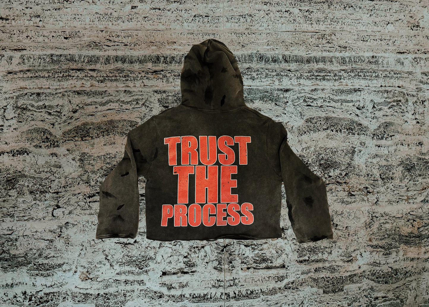 TRUST THE PROCESS GT EDITION CROPPED HOODIE